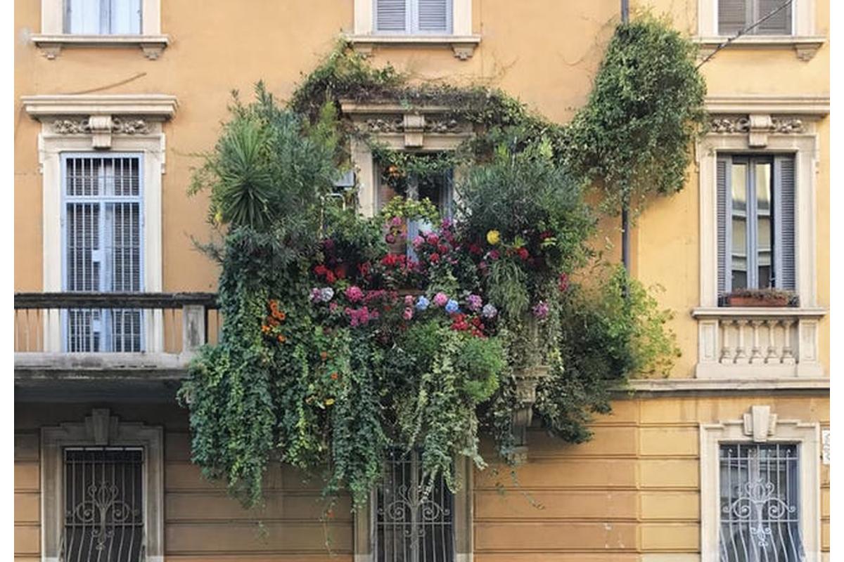 "Piante rampicanti verdi coprono un balcone, creando un'oasi di ombra naturale e sostenibile."
