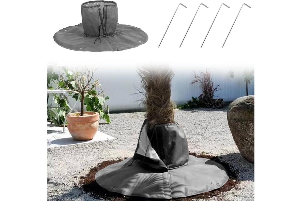Giardino rigoglioso con piante ombreggiate e terreno pacciamato per protezione dal caldo estivo.